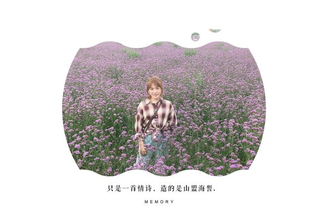 【生命迈幼 教育科研】云相聚 话开题 科研促进步_html_3912a604.jpg