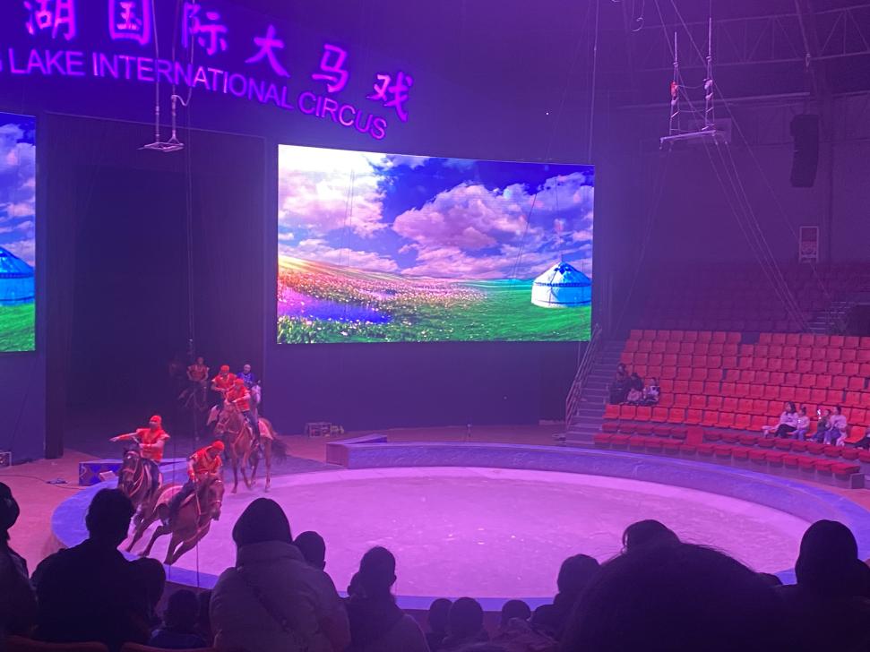【生命迈幼 花样童年】踏春而行 不负春光-记迈幼三分园紫清湖野生动物园春游之旅_html_4b52f73b.jpg