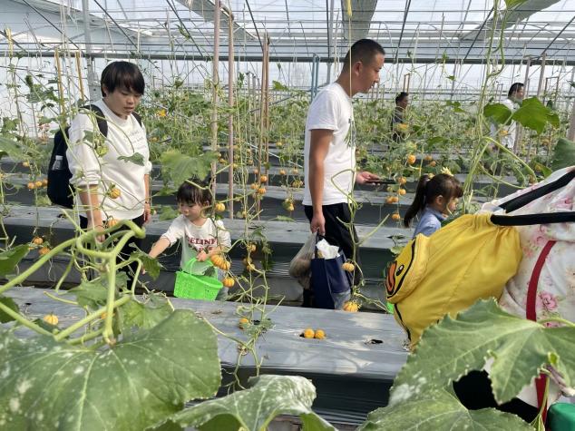 定稿：【生命迈幼·留住“秋”迹】探秘秋日，悦享秋游——迈幼嘉誉山分园秋游活动 (修改)_html_m40398dc3.jpg
