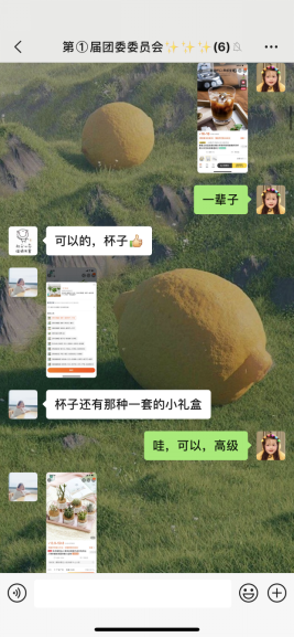 栖霞区迈皋桥幼儿园团委召开第一届委员会第三次全体会议_html_m5c8a9bd0.png