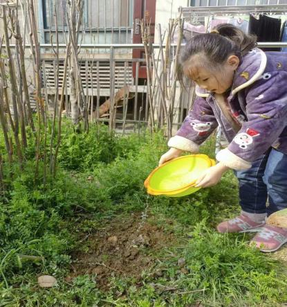 20210316新城园区大班植树节活动_html_m3eed6c0c.jpg