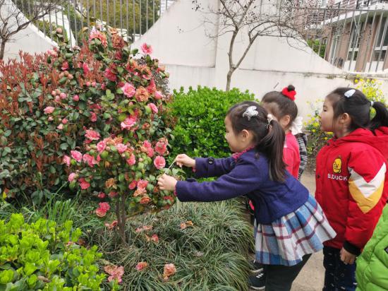 20210312祥和园区植树节活动_html_m36979bb2.jpg