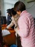 20241209十二月督导检查_html_1e10e1f7.jpg