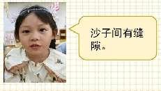 20241224大二班自然项目案例_html_m5c928ec2.jpg