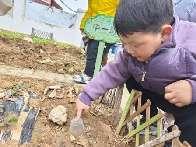 20240305中二班惊蛰节气活动_html_614947f5.jpg