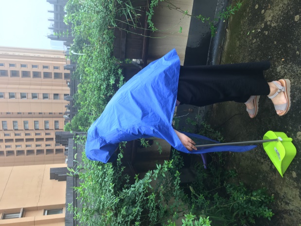 20200615【安全第一】下庙园区：恶劣天气安全自查_html_95f27bc.jpg