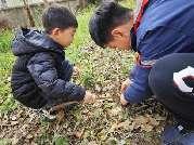 20250328大班春日亲子研学活动_html_607c3415.jpg