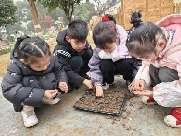 20250312植树节活动_html_m696a8a0a.jpg
