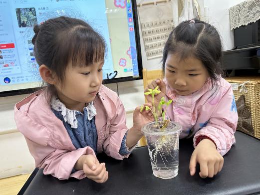 20240419【生活燕幼·园区动态】下庙分园：“知谷雨，润童心”——谷雨节气活动_html_7e6b49dc.jpg