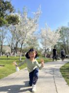 20240402  大一班清明节气活动_html_m4b01cc80.jpg