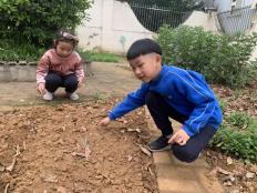 祥和园大班年级组清明项目活动新闻稿_html_51156af7.jpg