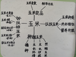 祥和园大班年级组清明项目活动新闻稿_html_m1f138b51.png