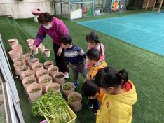 20210531祥和园种植团新闻_html_m5519f93.jpg