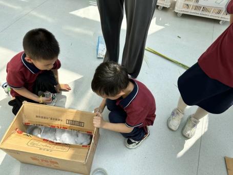 20230923 【生活燕幼&middot;园区动态】燕鸣苑分园：一场关于芦丁鸡的生命教育_html_2ad16179.jpg