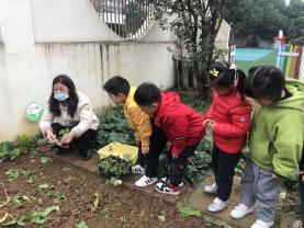 20201224祥和园区种植团_html_m50a62d04.jpg