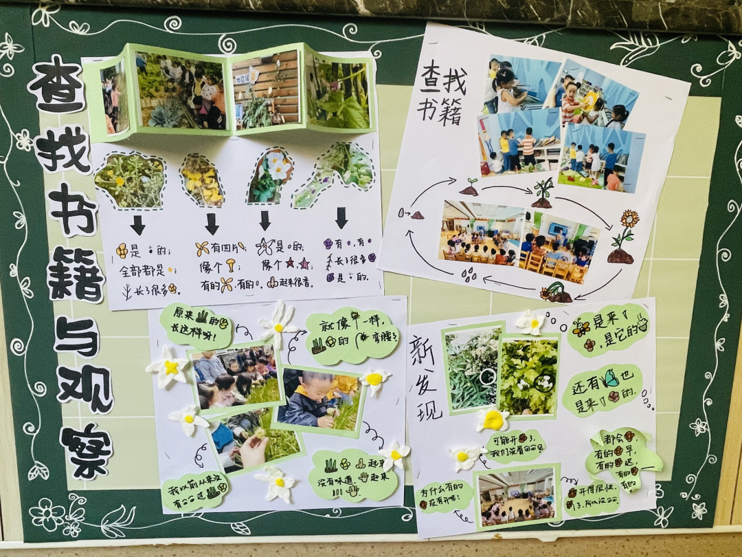 20220614【园区动态】下庙园区：“播种希望 收获成长”——班级种植墙评比活动新闻稿_html_599b108.jpg