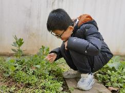 【生活燕幼·园区动态】燕幼中心园雨水时节，润物无声——大一班雨水节气活动_html_94c324f.jpg