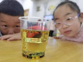 【生活燕幼·园区动态】燕幼中心园雨水时节，润物无声——大一班雨水节气活动_html_m5e642eb8.jpg