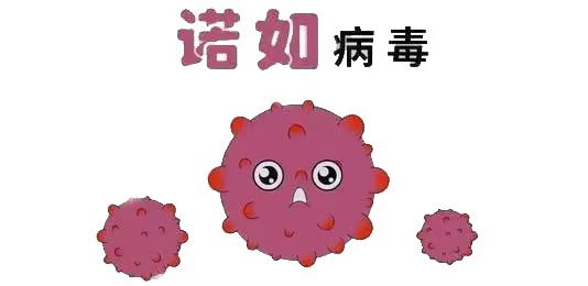 20230224  【生活燕幼·安全第一】下庙分园：“预防传染病，健康伴我行”——预防春季常见传_html_1b59cb34.png