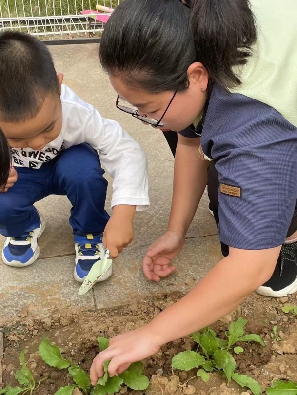 【生活燕幼·年级组动态】下庙分园：“拾秋季，探种植”——小班组种植团活动(1)_html_m711c43ea.jpg