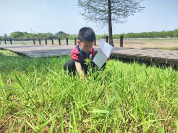 20250408 【生活燕幼·园区动态】燕鸣苑分园：“不负春光，趣享成长”——春游活动_html_m6e62074e.jpg