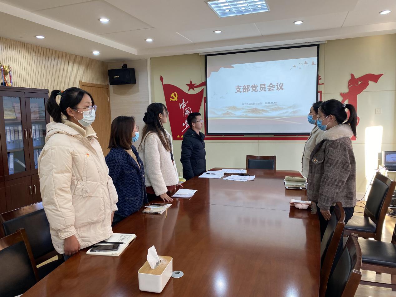 20211110  南京市栖霞区燕子矶幼儿园党员支部会议_html_97dd9fe.jpg