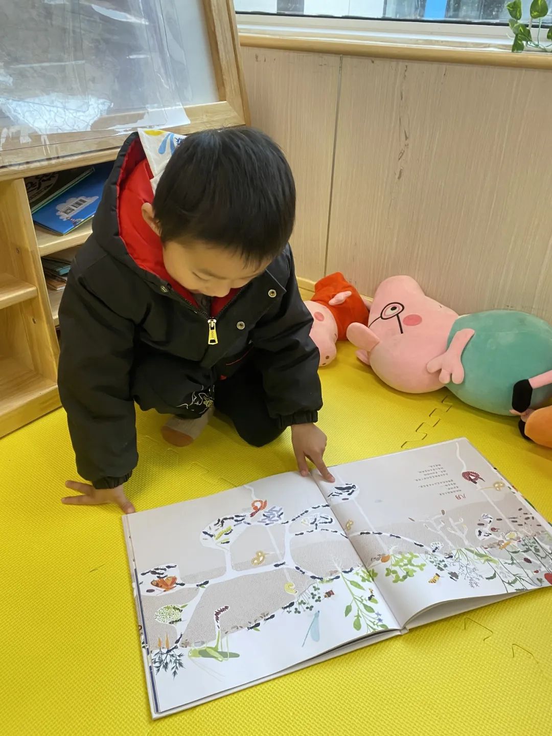 20230328【生活燕幼·园区动态】燕鸣苑分园：趣探惊蛰 万物新生——记小二班惊蛰节气活动_html_70dbc621.jpg