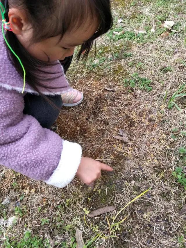 20230328【生活燕幼·园区动态】燕鸣苑分园：趣探惊蛰 万物新生——记小二班惊蛰节气活动_html_m46aed06.jpg