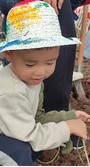 20241021秋季亲子游_html_637e359e.png
