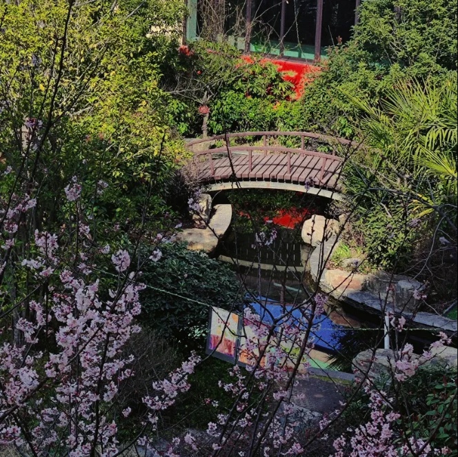 20230312新城园种植月破土日活动_html_3b2e0d5f.jpg