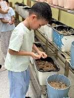 20240906【生活燕幼·园区动态】中心园：“秋风生白露，露至秋意浓”——白露节气活动_html_m71ea9fbb.jpg