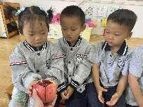 20240923秋分节气活动_html_m2595413f.jpg