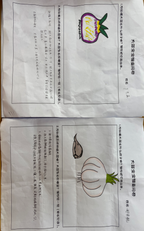 【年级组动态】祥和园区：“大蒜宝宝成长记”_html_42774db0.png
