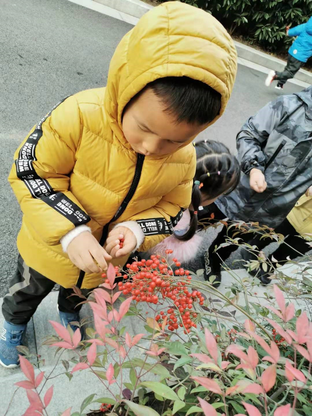 图片 120.jpg