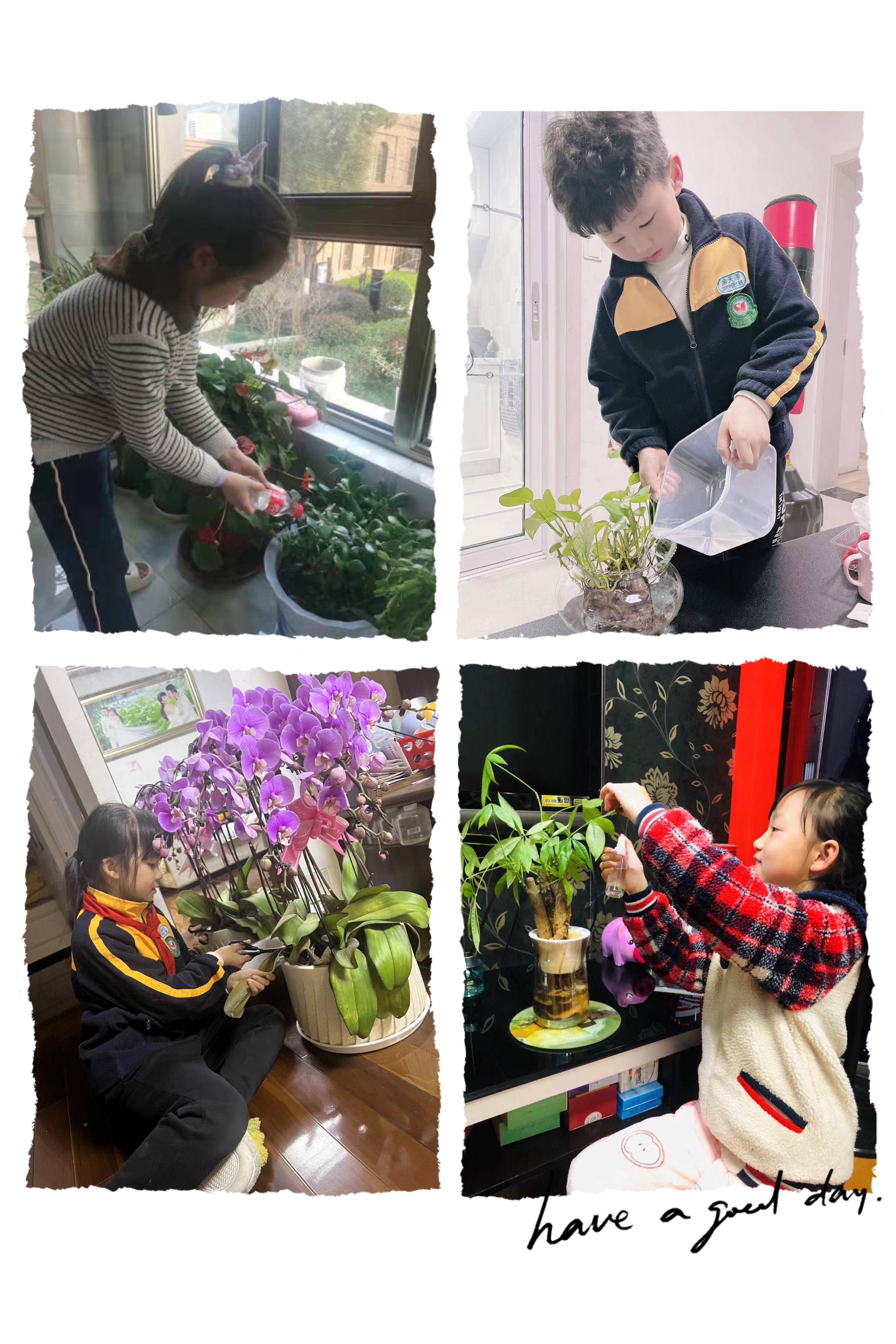 植树节新闻稿_html_m6c663199.jpg