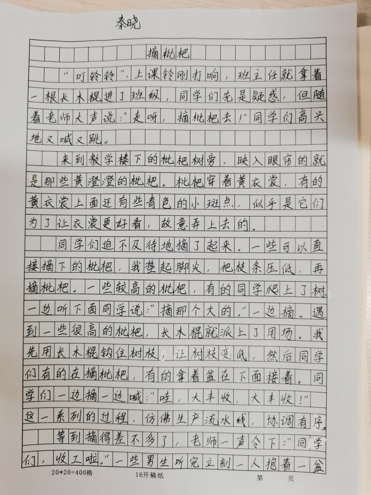 13.jpg