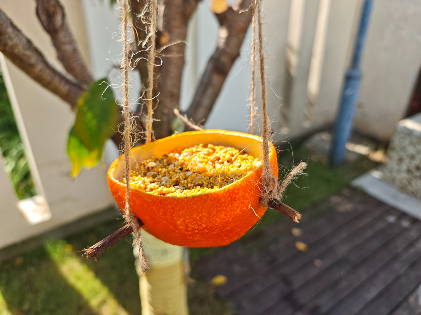 IMG_20251112_104310.jpg IMG_20251112_104310.jpg