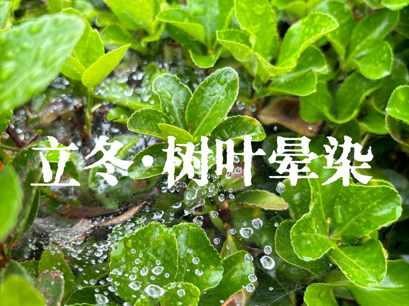 封面.jpg