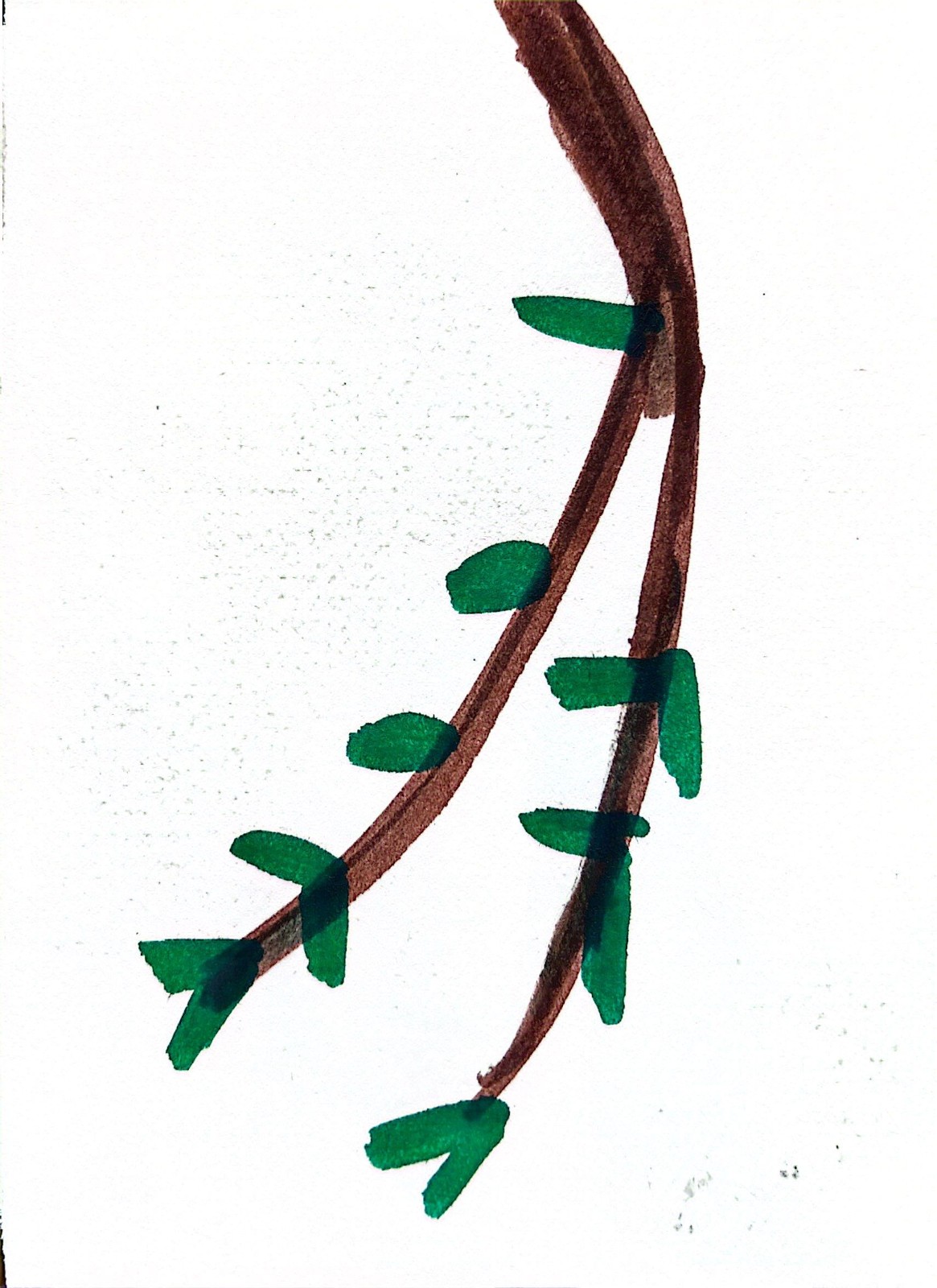 插图3.jpg