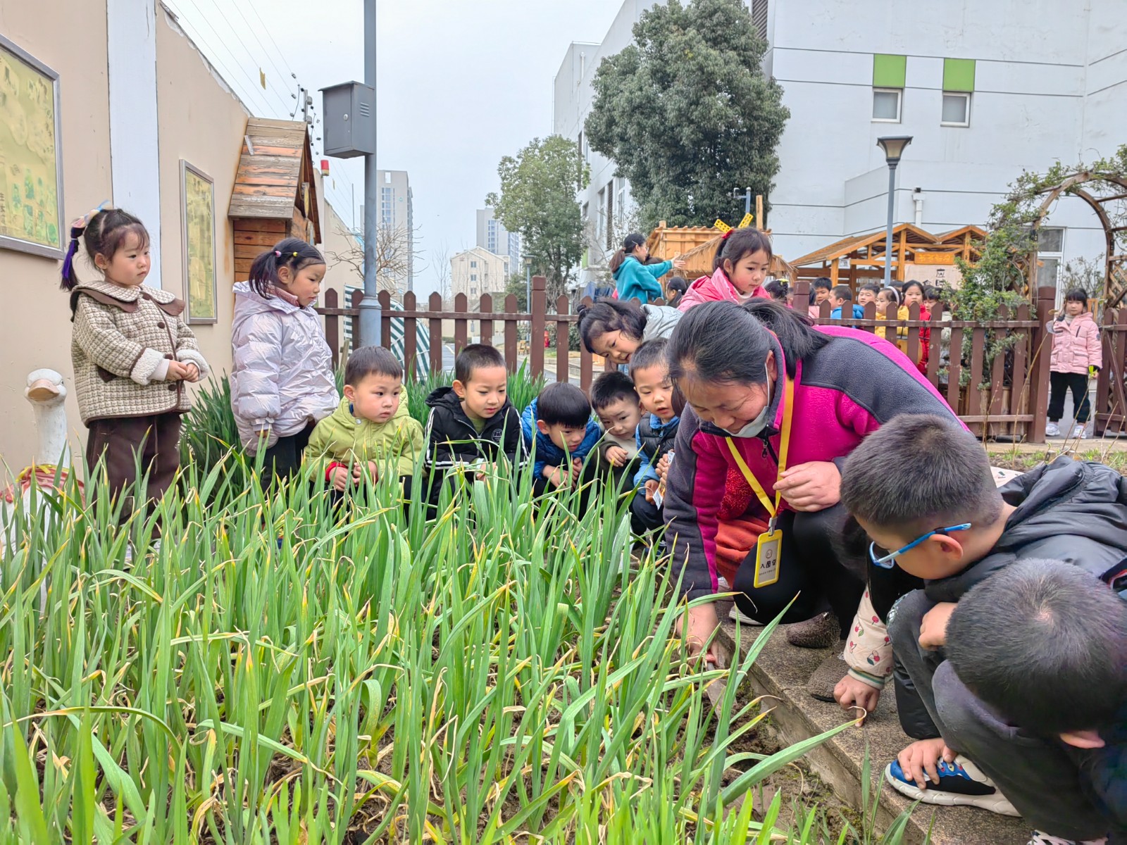 “植”此青绿，与你“童”行——马群幼儿园种植月系列活动