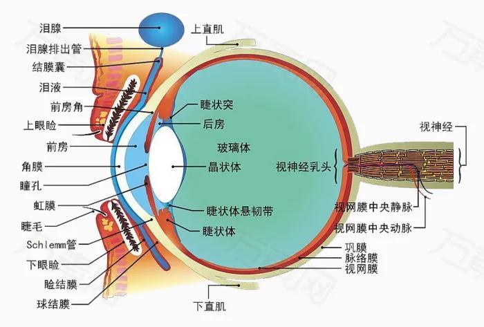 微信图片_20210730113350.jpg