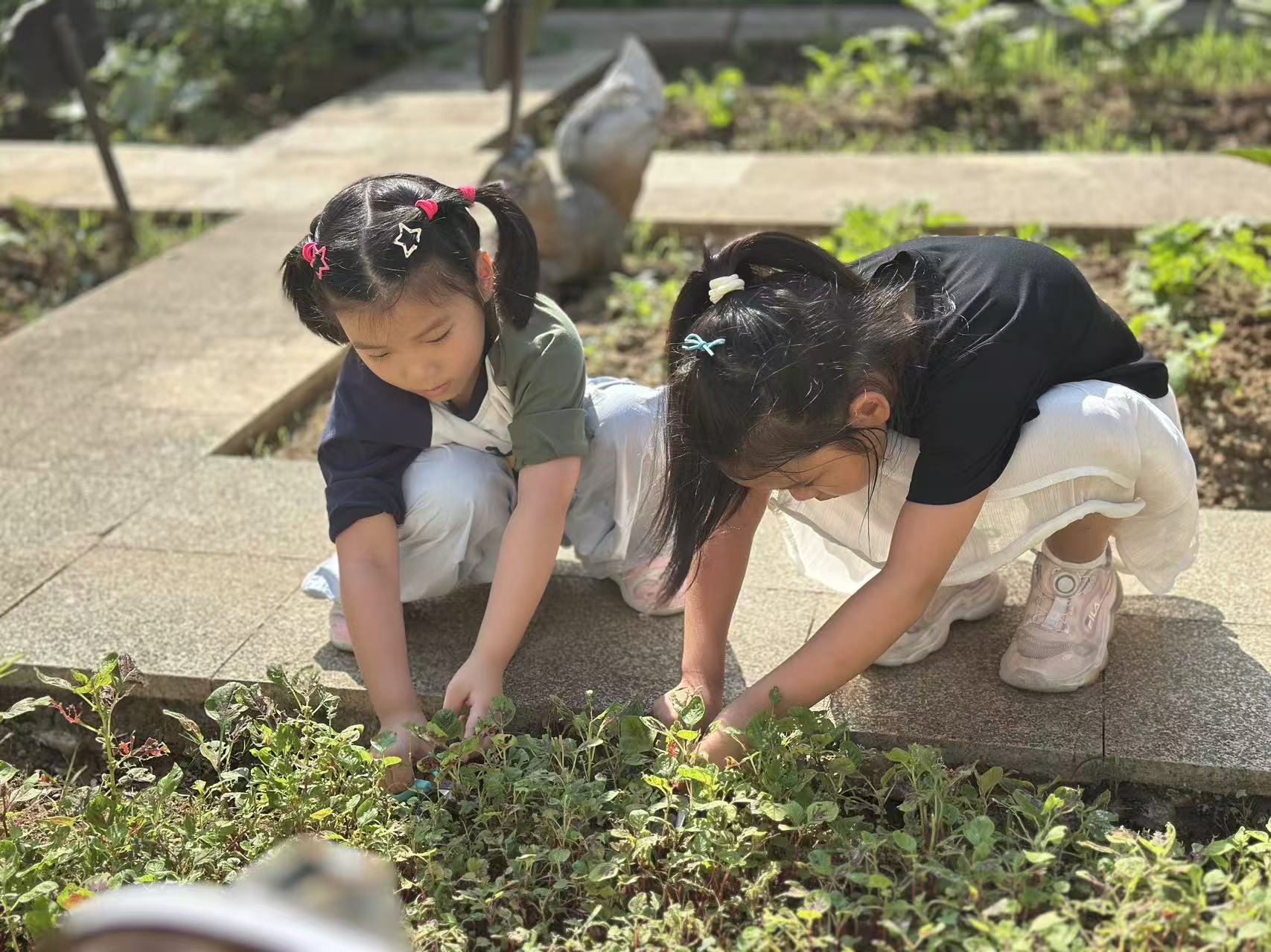 微信图片_202510131439531.jpg 微信图片_202510131439531.jpg