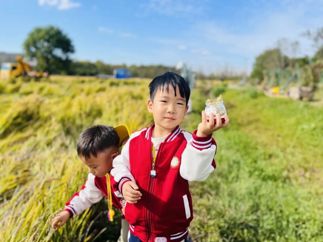 临时_html_m4cad04f7.jpg