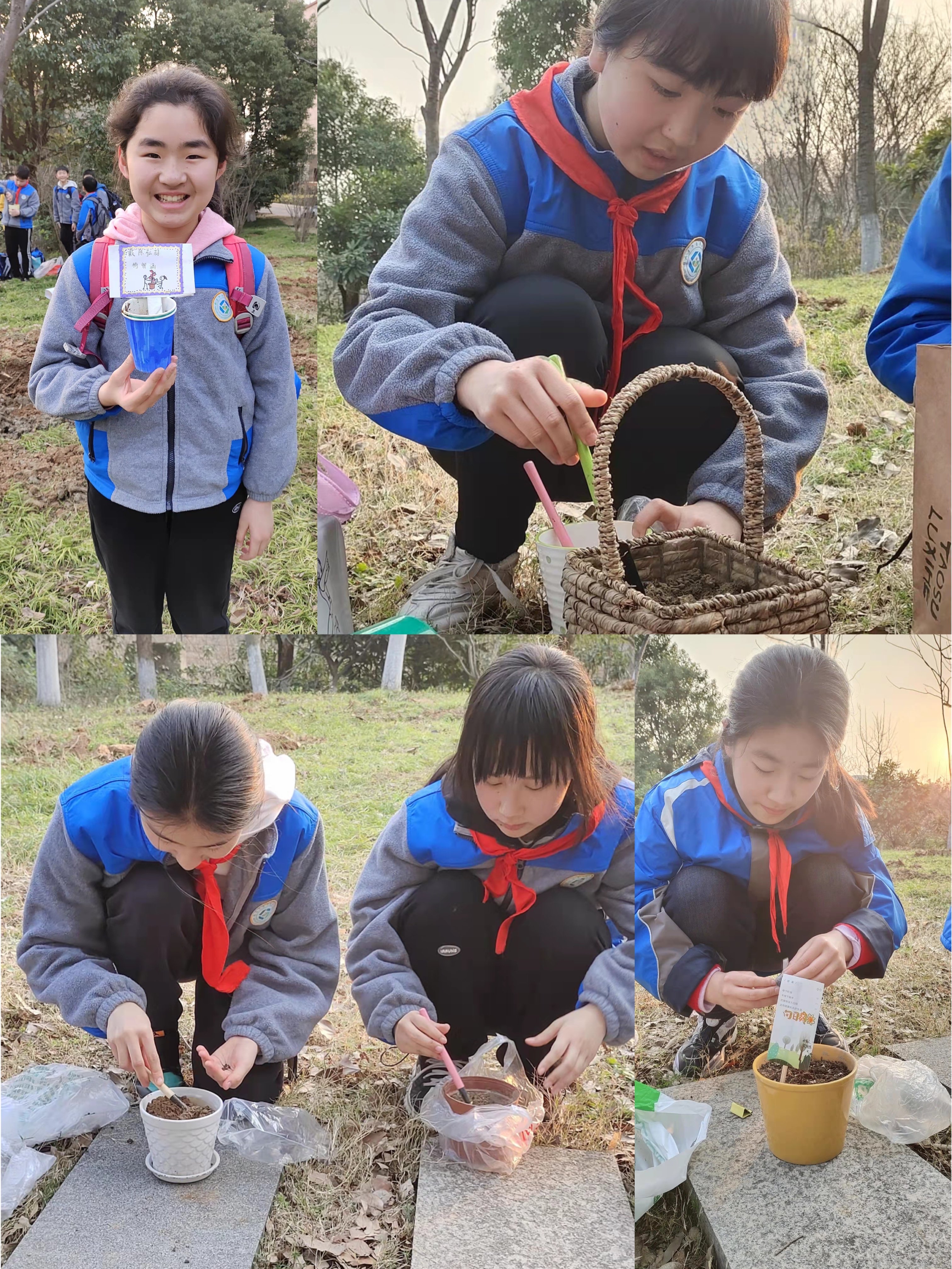 【大爱青秀】植树节新闻稿(2)_html_m26445d70.jpg