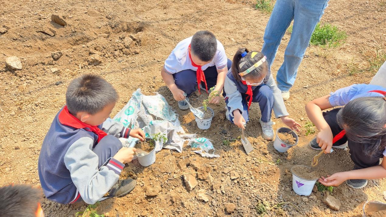 2024.5.10-王涵奕-【大爱青秀&middot;德育】家长互助团∣田园春色 学问之源 ----记青秀城小学二(3)班“星辰快乐”研学互助团探索农耕乐园_html_fbcbe20.jpg