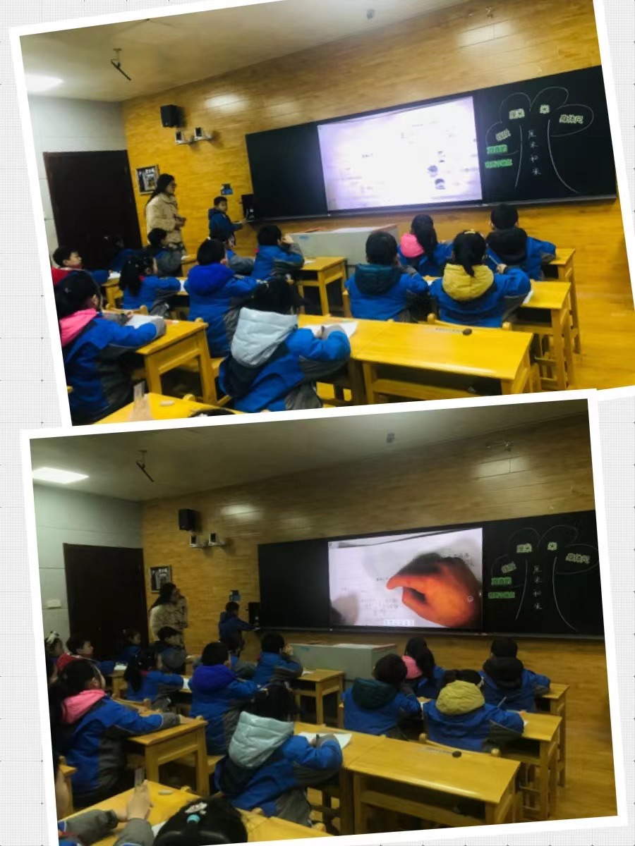 2023年12月数学校本研修新闻_html_mc5f2fa1.jpg