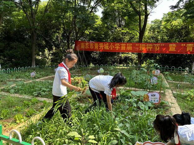 【大爱青秀·德育】“蔬”香四溢，悦享劳动——青青耕读园丰收记_html_737dd52d.jpg