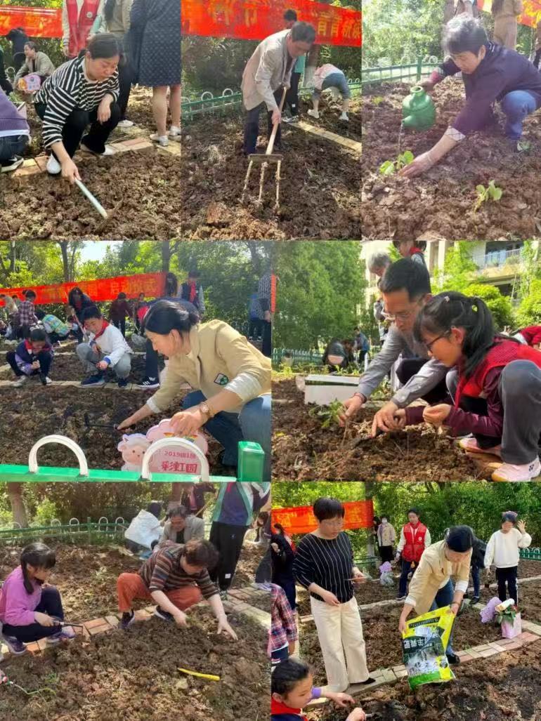 种植活动：家校共育吧_html_m3488e17.jpg