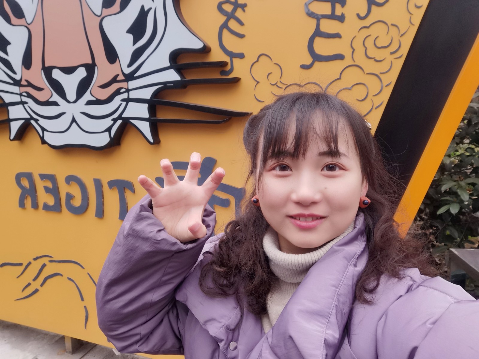 杨红.jpg
