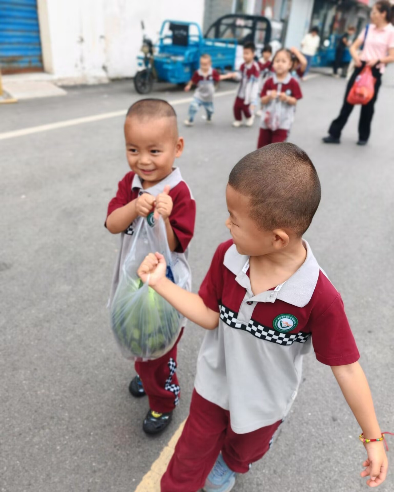 夏日童行·鲜果市集与防蚊妙招大发现—— 龙潭幼儿园靖安分园小班组社会实践活动